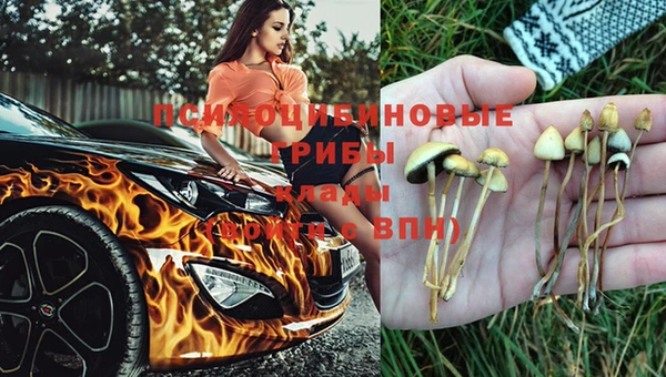 амф Балабаново